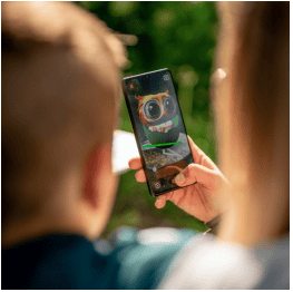 Explore Stowe with Ickle Owl AR Trail: A Fun AR Adventure for Families!