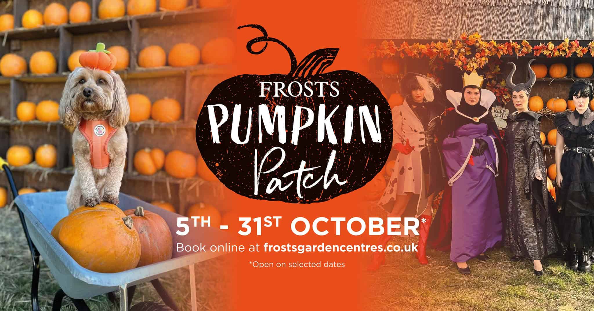 Frosts Pumpkin Patch Event