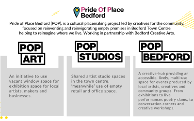 Pride-Of-Place-Project-Explainer-1.png