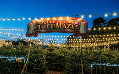 Winter Wonderland Bedford has an amazing tree maze